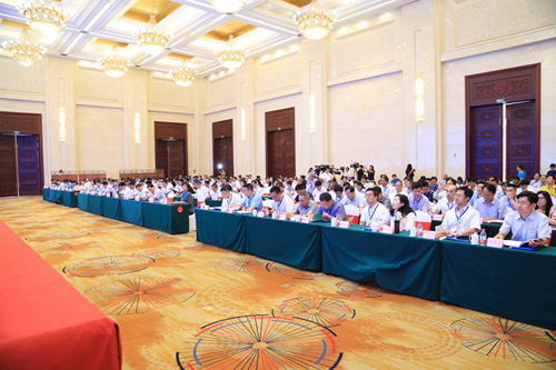 勞務對接架起致富橋 佛山攜手涼山昭覺，全面啟動家政扶貧新篇章